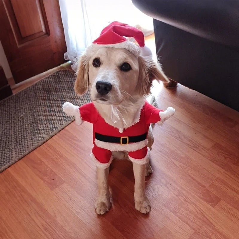 Santa Outfit For Pets