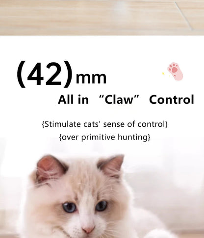 Interactive Cat Ball