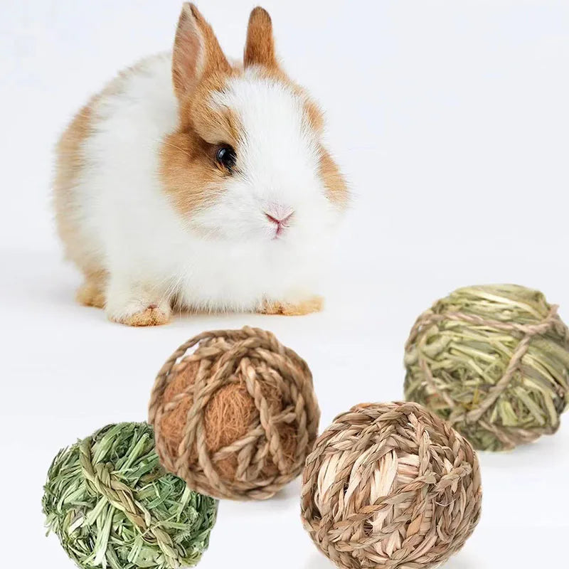 Natural Grass Chew Balls (4/5pcs)