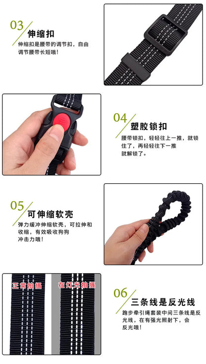 Hands-Free Dog Leash