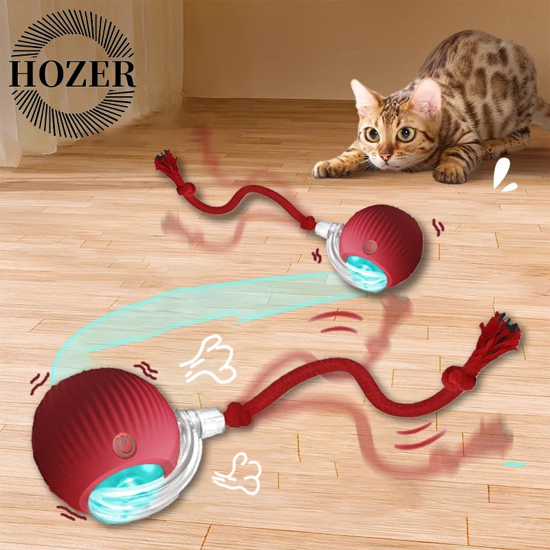 Automatic Rolling Cat Toy