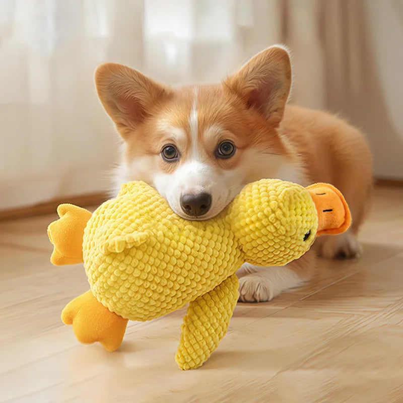 🦴 Indestructible Chew Toy