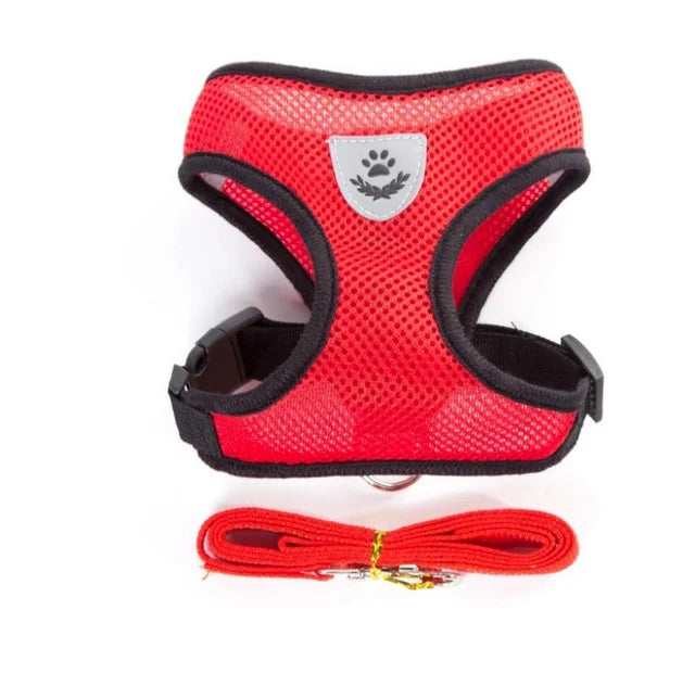 Adjustable Mesh Pet Harness & Lead