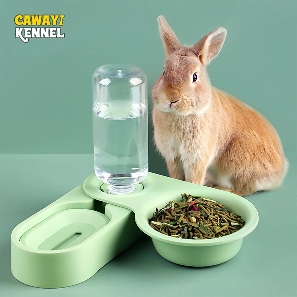 2-in-1 Pet Feeder & Water Bowl