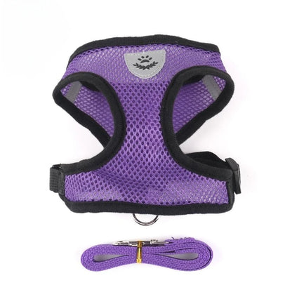Adjustable Mesh Pet Harness & Lead