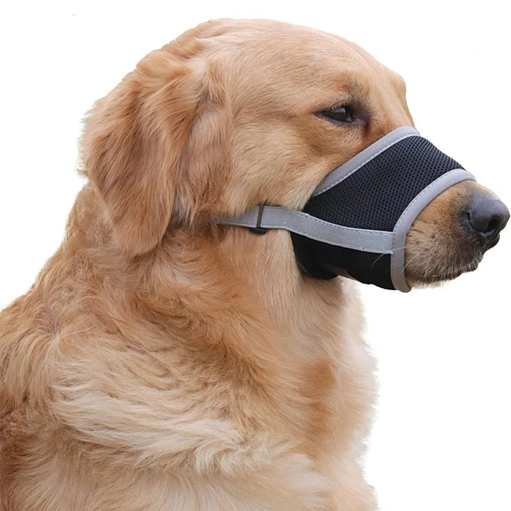 🐶 Dog Muzzle – Anti-Bite & Bark