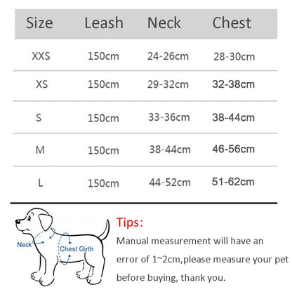 Adjustable Dog Harness & Leash Set