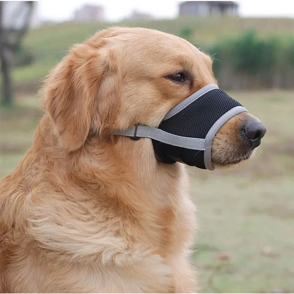 🐶 Dog Muzzle – Anti-Bite & Bark