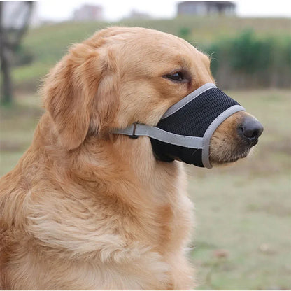 🐶 Dog Muzzle – Anti-Bite & Bark