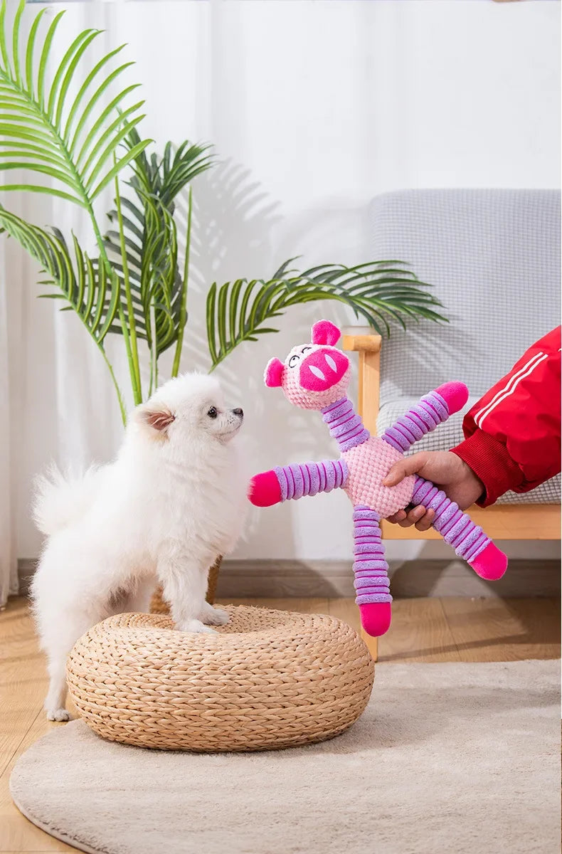 🐶 Large Dog Toy – Squeaky & Molar Care