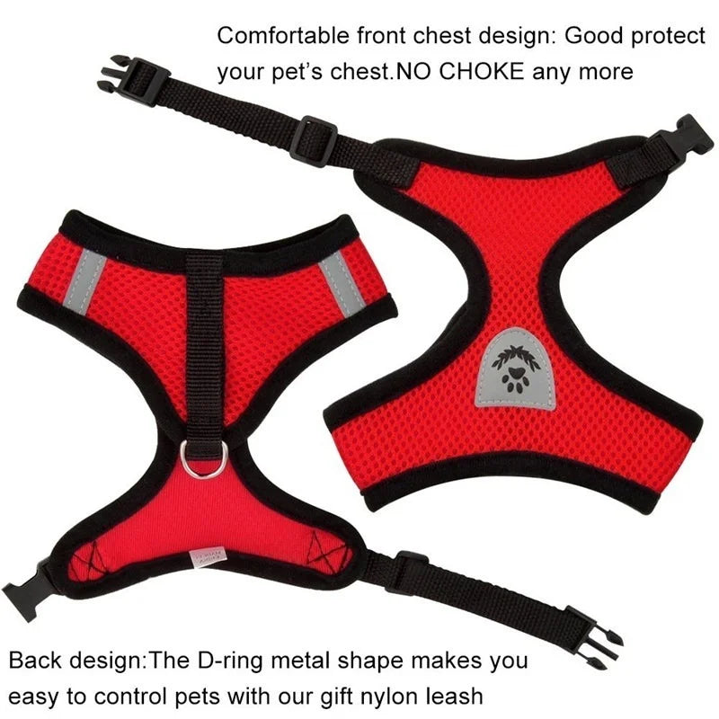 Adjustable Mesh Pet Harness & Lead