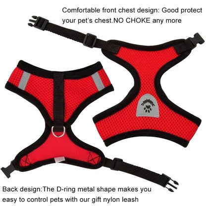 Adjustable Mesh Pet Harness & Lead