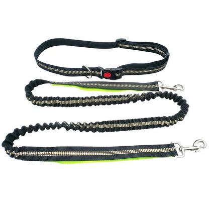 Hands-Free Dog Leash
