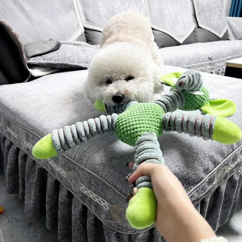 🐶 Large Dog Toy – Squeaky & Molar Care