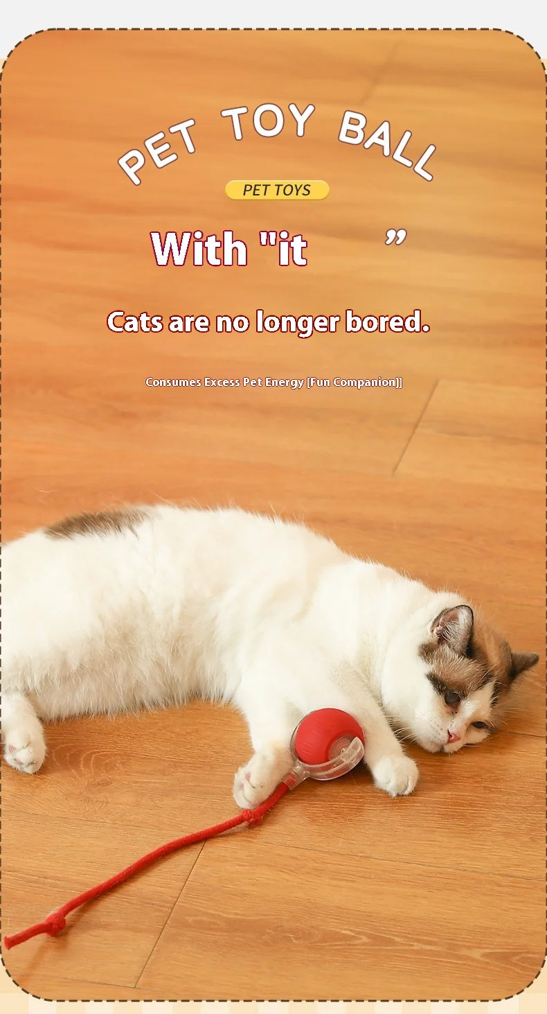 Automatic Rolling Cat Toy