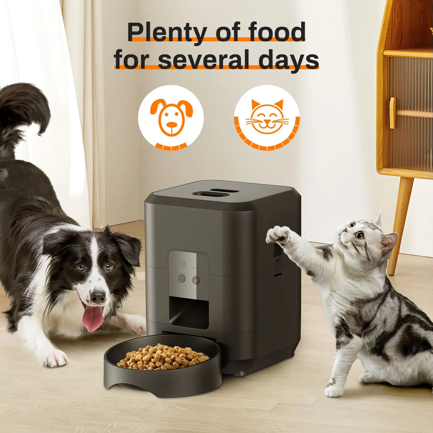 Automatic Cat & Dog Feeder