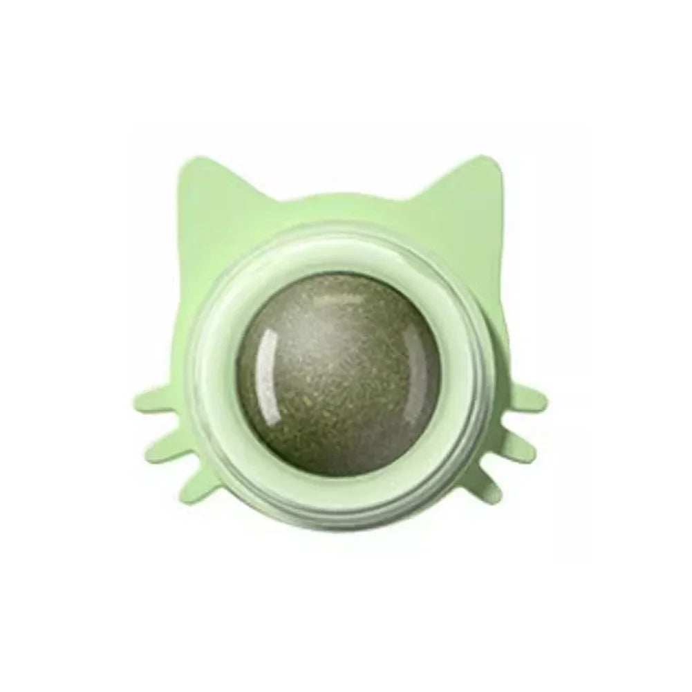 Catnip Lollipop Treat