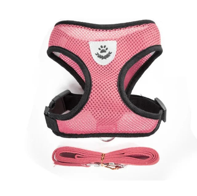 Adjustable Mesh Pet Harness & Lead