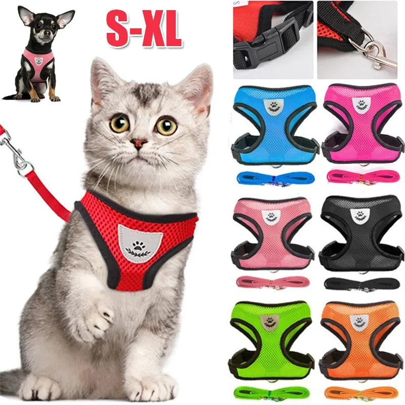 Adjustable Mesh Pet Harness & Lead