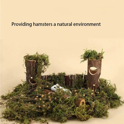 Hamster & Rabbit Teeth Grinding Toy