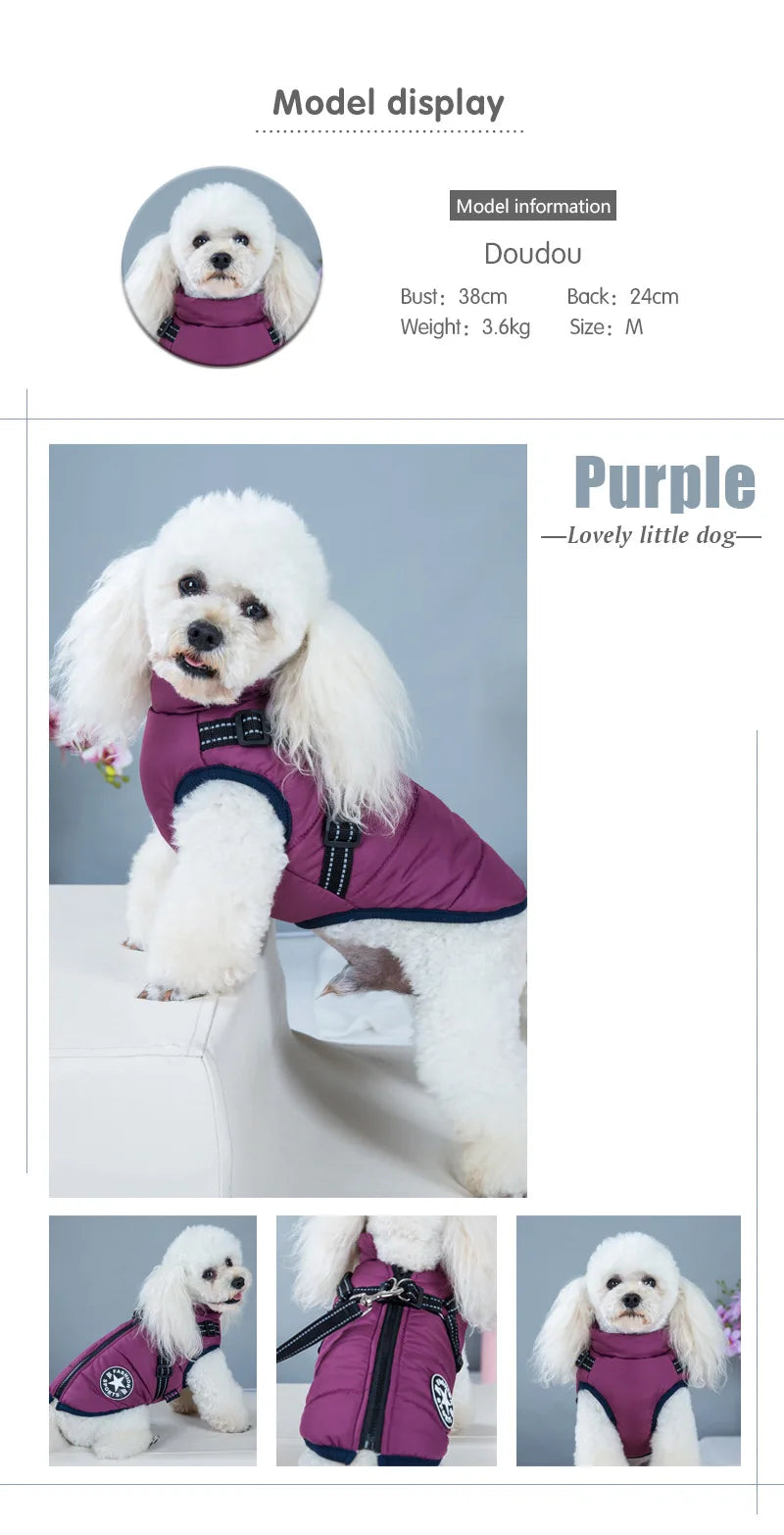 ❄️ Waterproof Dog Winter Coat