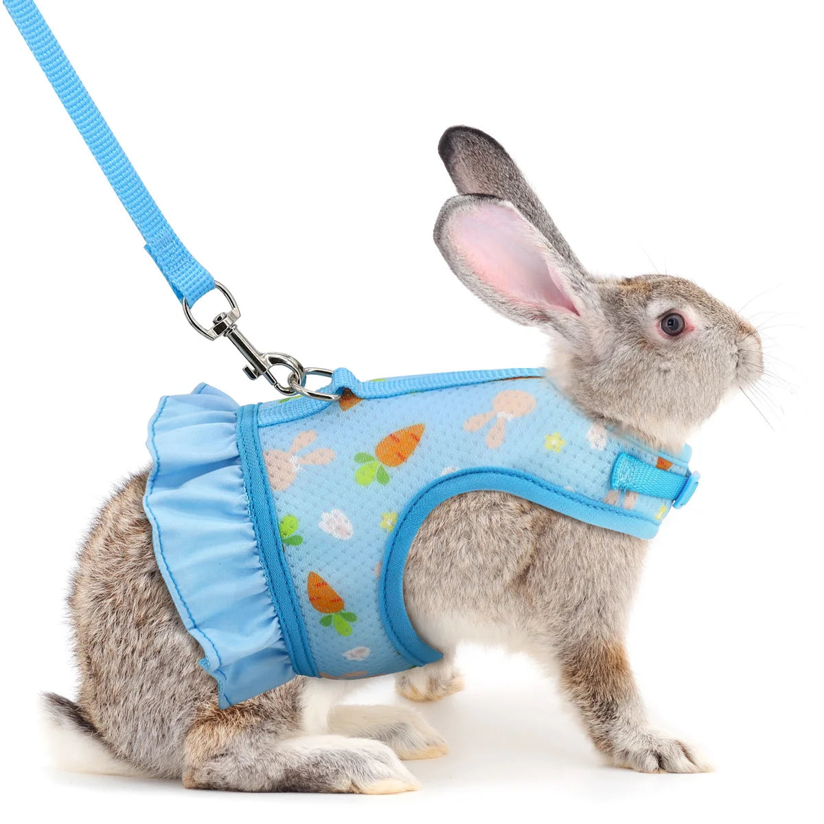 Rabbit Harness & Lead Set – Radish Print