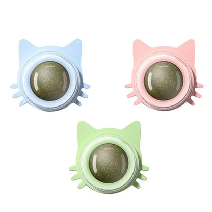 Catnip Lollipop Treat