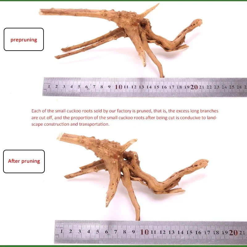 Fish Tank Tree Root Ornamen