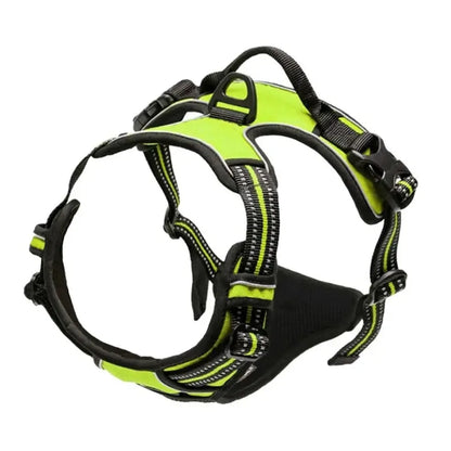 Dog Collars, Harness & Leash Set