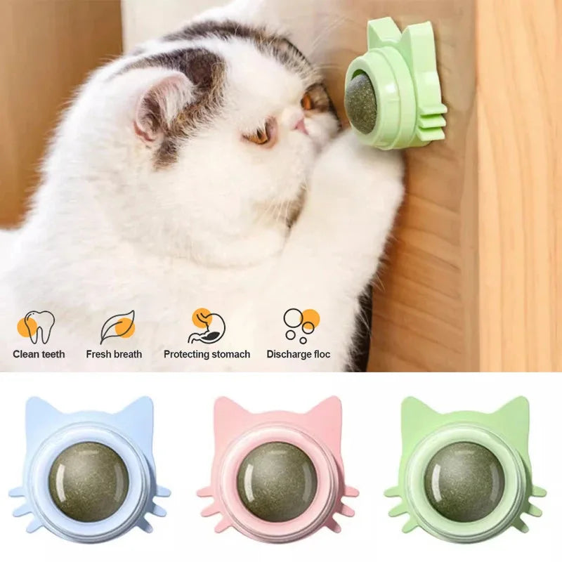 Catnip Lollipop Treat