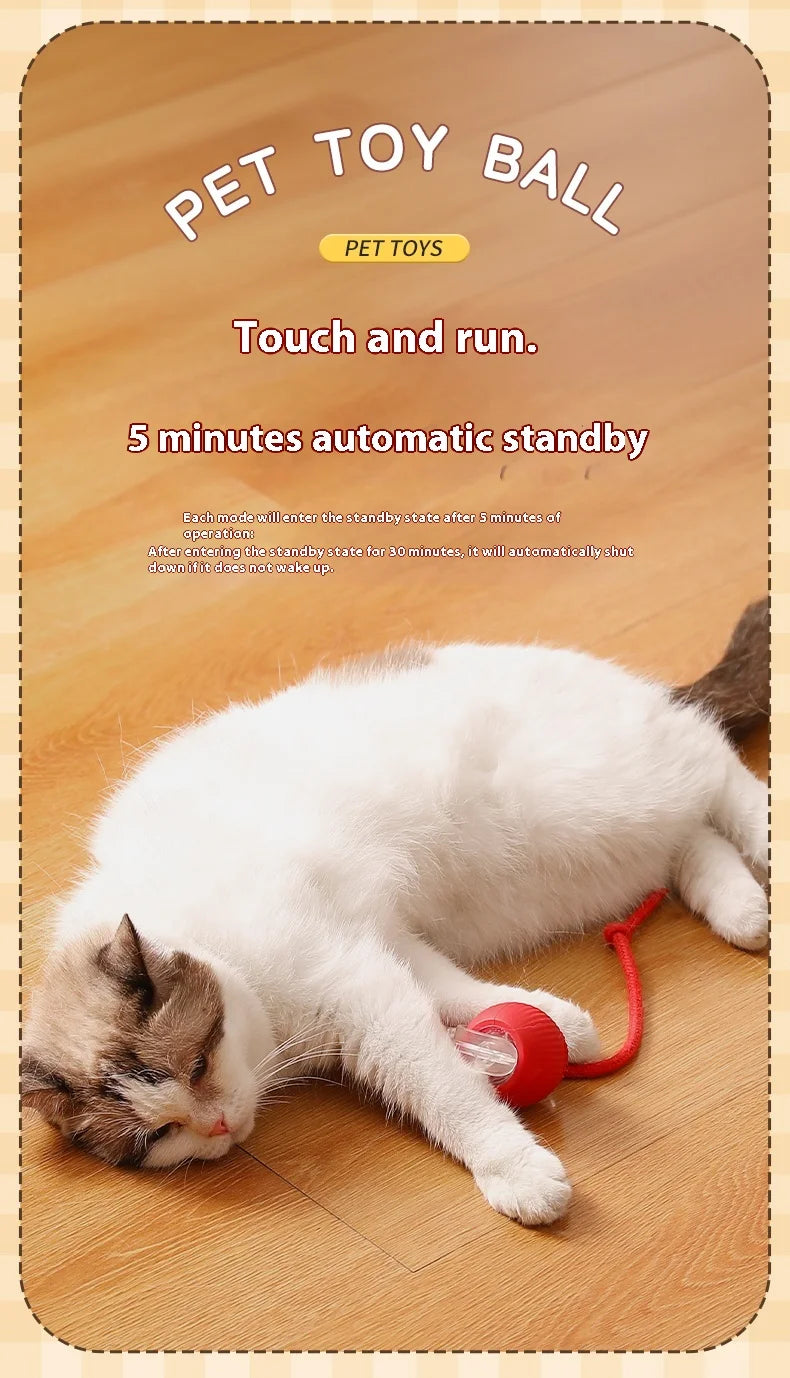 Automatic Rolling Cat Toy