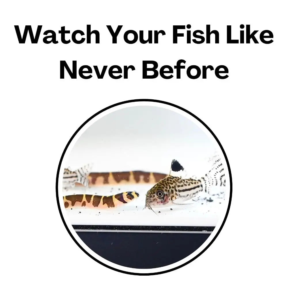 Aquarium Underground Tunnel Cave Decoration