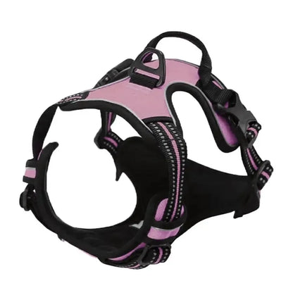 Dog Collars, Harness & Leash Set