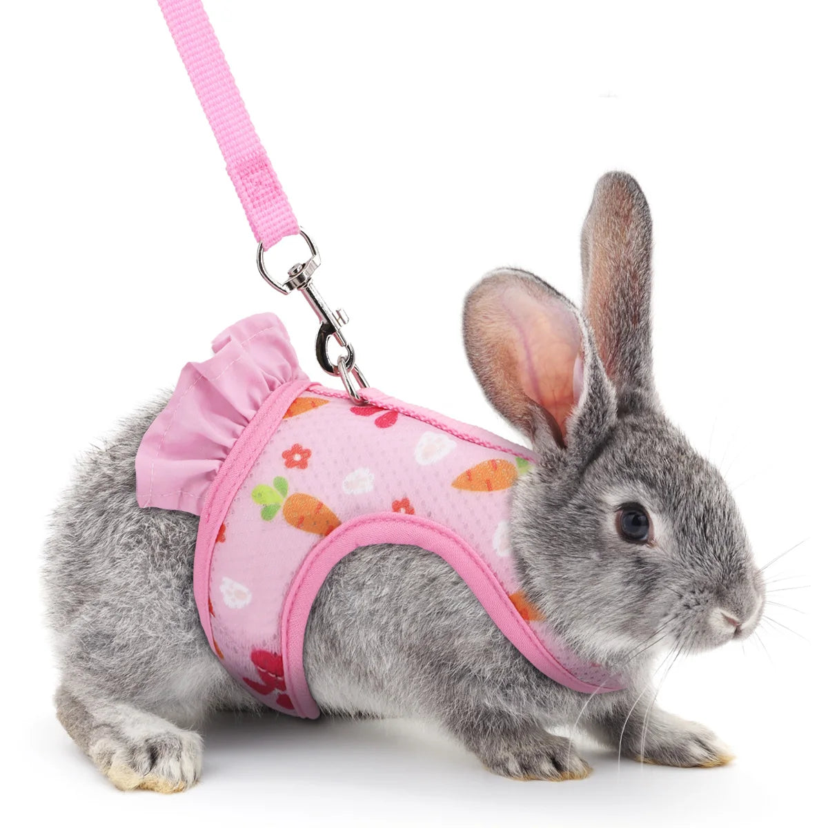 Rabbit Harness & Lead Set – Radish Print