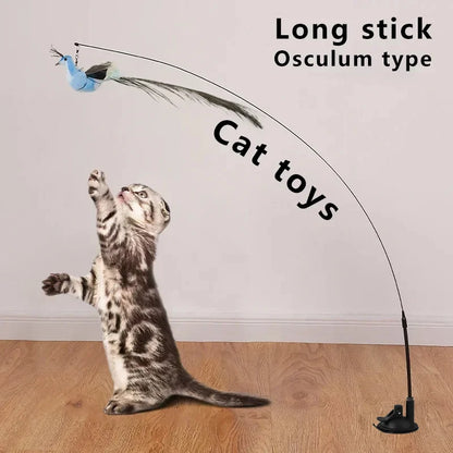 Interactive Peacock Cat Toy