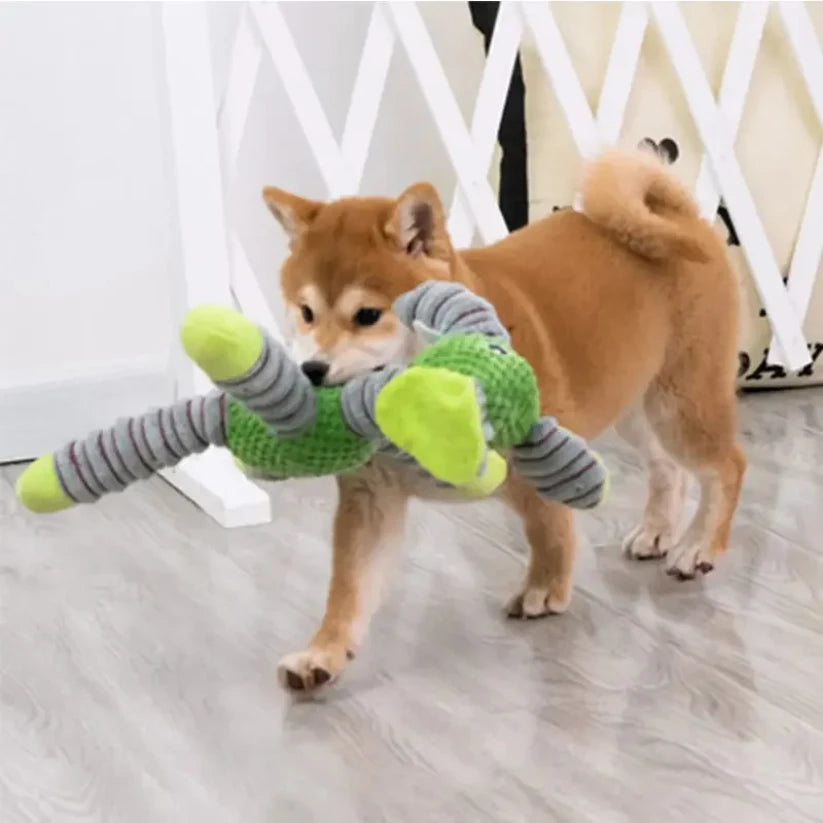 🐶 Large Dog Toy – Squeaky & Molar Care