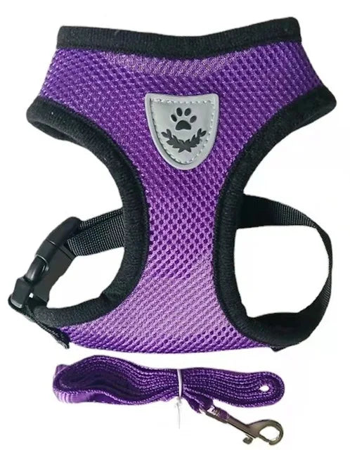 Adjustable Mesh Pet Harness & Lead