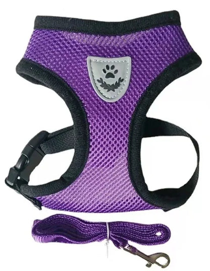 Adjustable Mesh Pet Harness & Lead