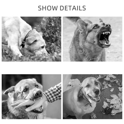 🐶 Dog Muzzle – Anti-Bite & Bark