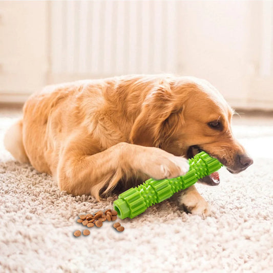 🦴 Indestructible Rubber Dog Toy – Treat Dispense