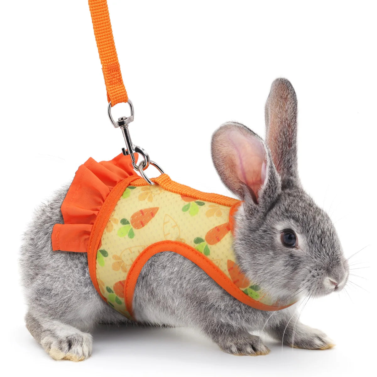 Rabbit Harness & Lead Set – Radish Print