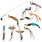 10Bird-Set