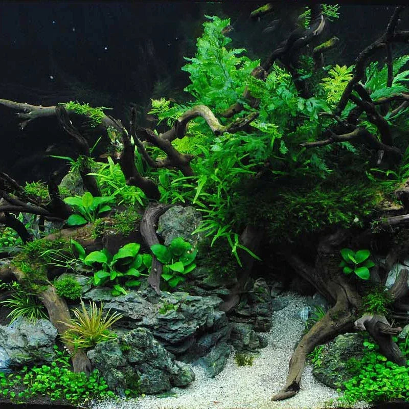 Fish Tank Tree Root Ornamen