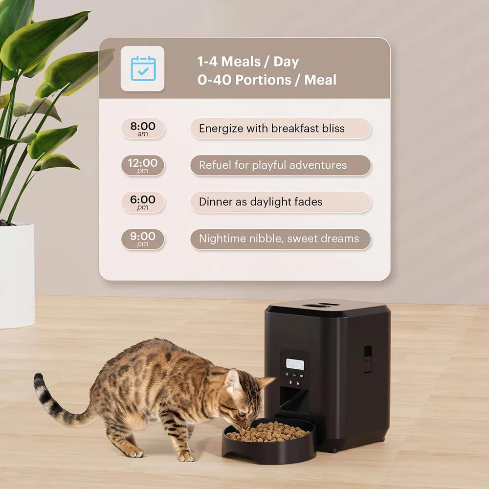 Automatic Cat & Dog Feeder