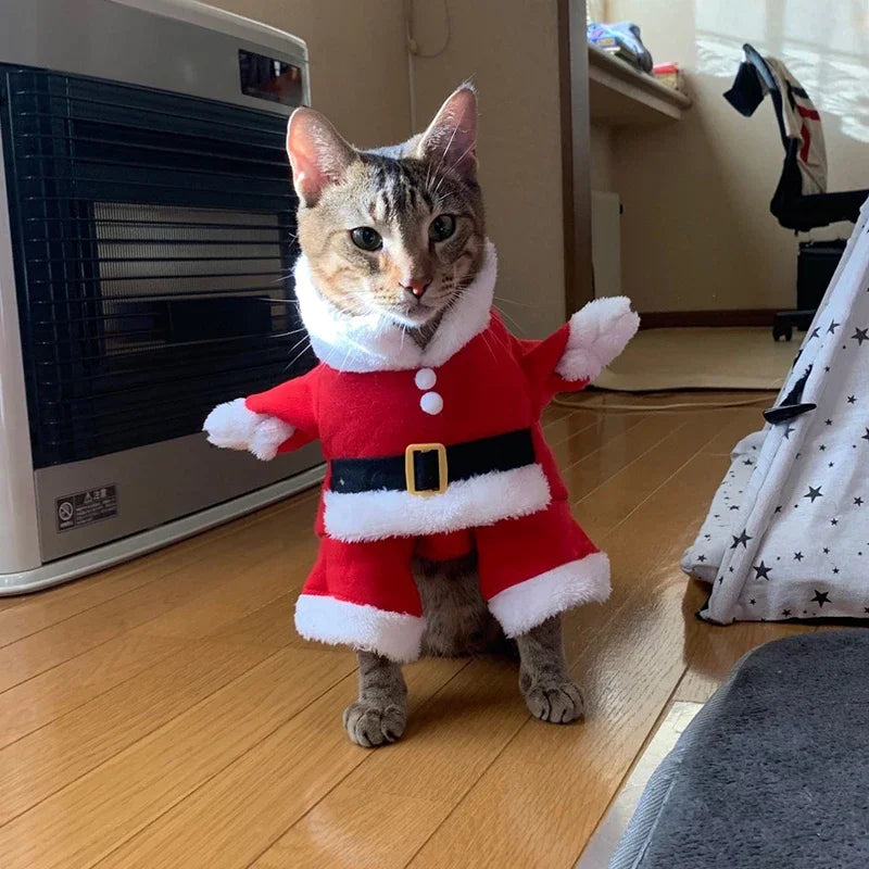 Santa Outfit For Pets