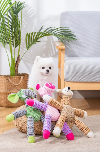 🐶 Large Dog Toy – Squeaky & Molar Care