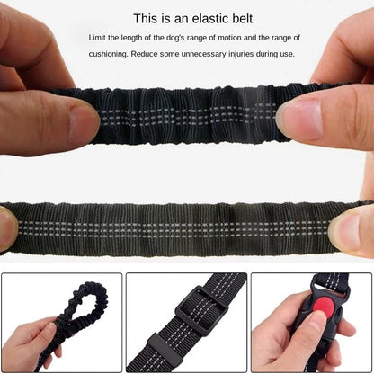Hands-Free Dog Leash