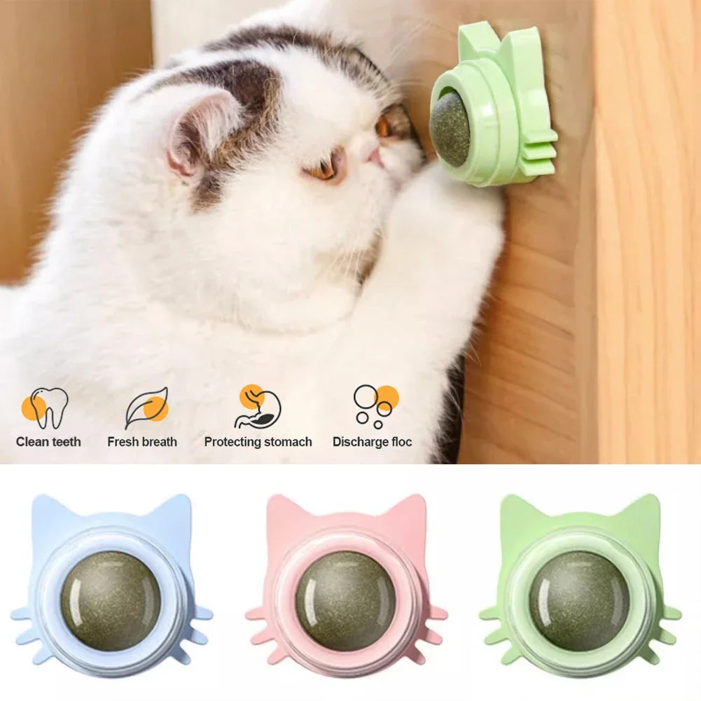 Catnip Lollipop Treat