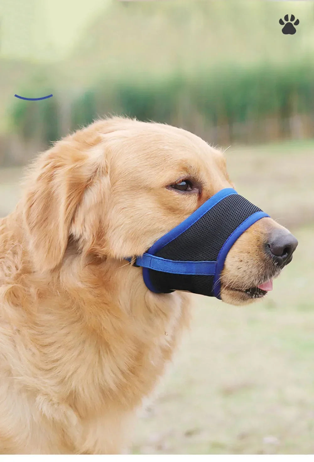 🐶 Dog Muzzle – Anti-Bite & Bark