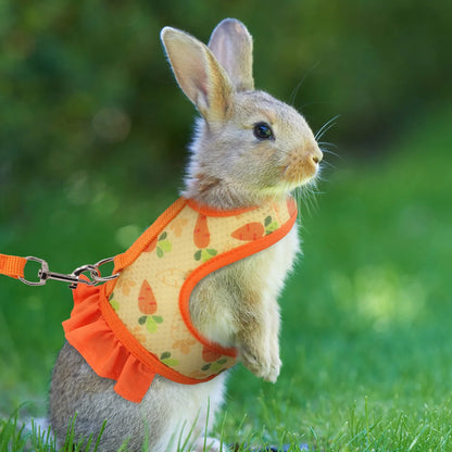 Rabbit Harness & Lead Set – Radish Print
